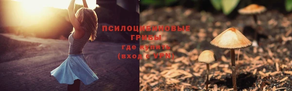 прущая мука Бугульма