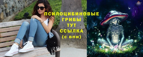 бошки Бронницы