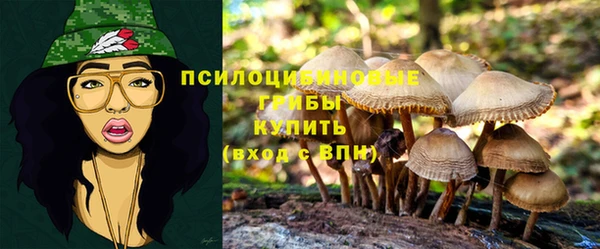 бошки Бронницы