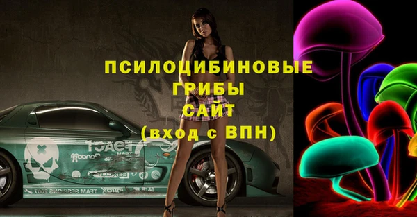 тгк Протвино