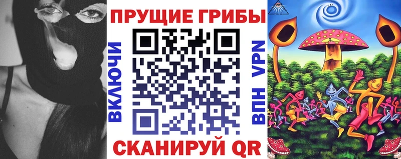 дарнет шоп  Касимов  Псилоцибиновые грибы Magic Shrooms 